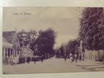 De Blesse tulpkaart, Verzamelen, Ansichtkaarten | Nederland, Verzenden, Voor 1920, Gelopen, Friesland