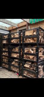 Gitterboxen, opslagbox., Minder dan 3 m³, Ophalen