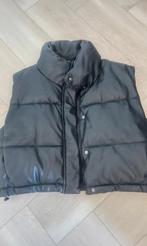 Dames bodywarmer, Kleding | Dames, Bodywarmers, Ophalen of Verzenden, Zo goed als nieuw, Zwart