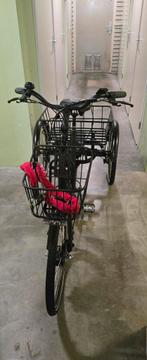 Elektrische Driewieler Fiets, Fietsen en Brommers, Fietsen | Driewielfietsen, Ophalen of Verzenden, Nieuw, Vogue