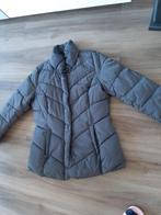 Super mooie nieuwe Dames Winterjas (maat 40-42), Nieuw, Maat 38/40 (M), Verzenden, Overige kleuren