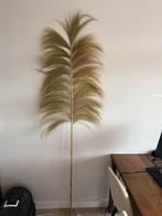 Grote decoratieve pluim / palm tak van Ibiza markt, Ophalen, Zo goed als nieuw