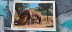 kaart uit sri lanka met olifanten erop afgebeeld, Ophalen of Verzenden, 1980 tot heden, Gelopen, Buiten Europa