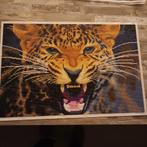 - Luipaard Diamond Painting, Ophalen, Nieuw, Overige typen