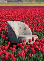 BePureHome retro stijlvolle fauteuil agave Rococo tulp print, Metaal, BePureHome, Minder dan 75 cm, Retro, Vintage, Modern deign, Hotel Chique