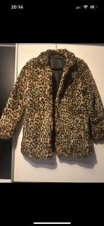 Tijger jas dames, Kleding | Dames, Ophalen of Verzenden, Zo goed als nieuw, Maat 34 (XS) of kleiner, Bruin