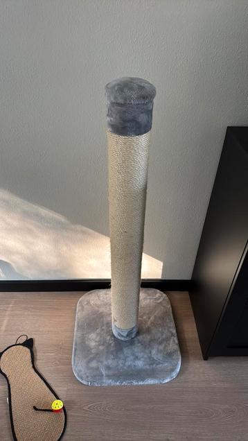 krabstam H115cm base 48x48cm beschikbaar voor biedingen