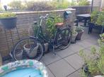 Stevige 28inch Omafiets Batavus Old Dutch 70€ rijd prima, 53 tot 56 cm, Ophalen, Gebruikt, Batavus Old Dutch