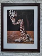 Ingelijste poster baby giraf, Minder dan 50 cm, Gebruikt, 50 tot 75 cm, Ophalen of Verzenden