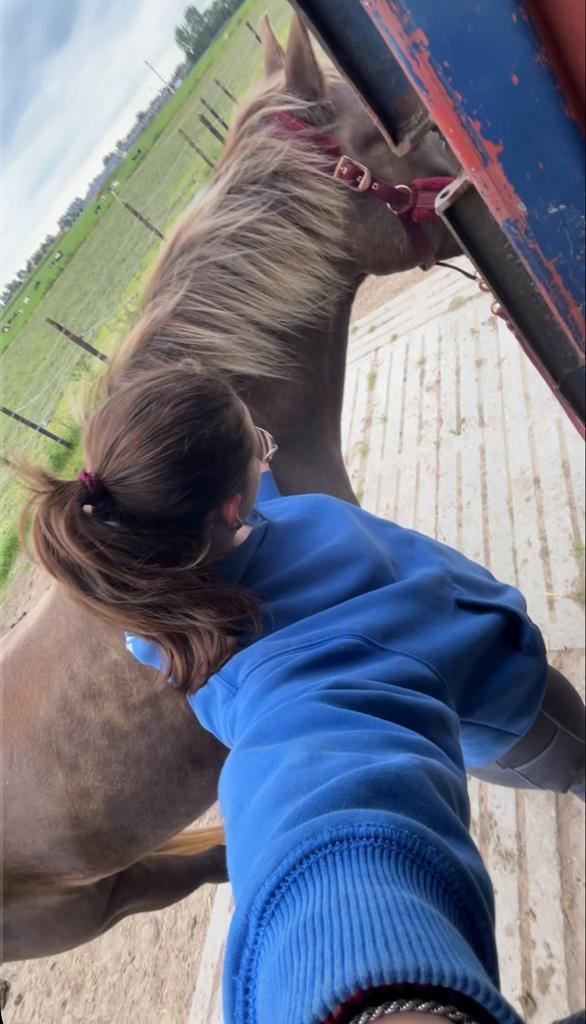 verzorgpony gezocht / bijrijder aangeboden, Dieren en Toebehoren, Paarden en Pony's | Verzorgingsproducten, Zo goed als nieuw