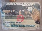 Terschellinger wollen dekbed 240x220 - Nieuw (1-delig)!, Huis en Inrichting, Ophalen, Beige, Deken of Dekbed, Nieuw