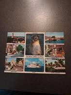 Oude ansichtkaart Terschelling - Zeehond, Ophalen of Verzenden, 1960 tot 1980, Gelopen, Waddeneilanden