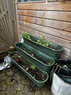 Gratis plantenbakken, Ophalen, Gebruikt, Kweekbak