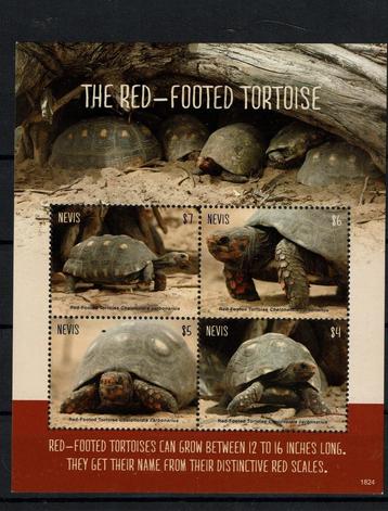 nevis 2018 pf blok schildpadden reptielen turtles beschikbaar voor biedingen