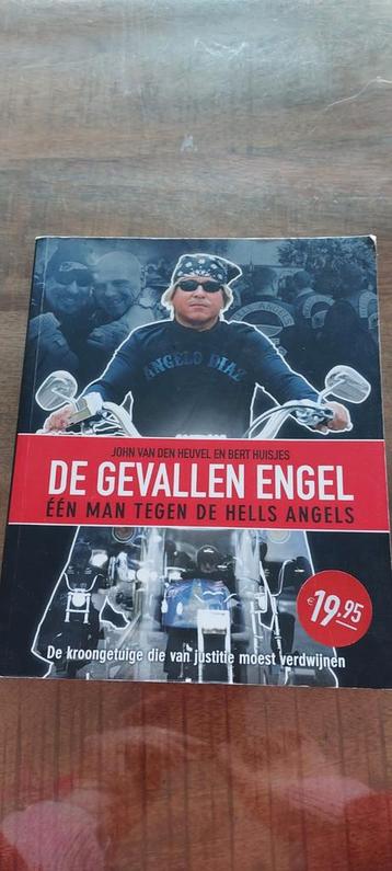 Bert Huisjes - De gevallen engel beschikbaar voor biedingen