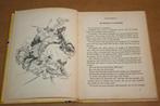 De wonderdoktoor - Echo der eeuwen 13 - R. Feenstra, Boeken, Kinderboeken | Jeugd | 10 tot 12 jaar, Ophalen of Verzenden, Gelezen