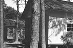 33502	Harderwijk	Gld 1951 Sanatorium	Sonnevanck	.zegel gedee, Verzenden, 1940 tot 1960, Gelopen, Gelderland