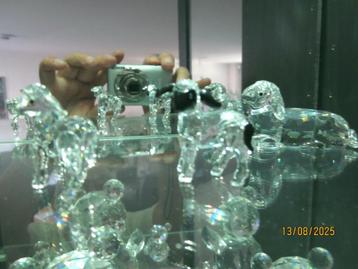 sSwarovski Schaap met twee lammetjes incl doos en certificat beschikbaar voor biedingen