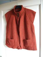 Punt Roma zgan roestbruin loshangend vestje maat M, Kleding | Dames, Maat 38/40 (M), Overige kleuren, Ophalen of Verzenden, Zo goed als nieuw