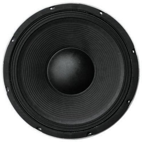 30 Cm Bass Speaker 350 Watt 8 Ohm, Audio, Tv en Foto, Luidsprekers, Nieuw, Overige typen, 120 watt of meer, Overige merken, Ophalen of Verzenden