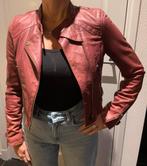 Superstar Korte Jas - Maat S - Zeer Goede Staat, Kleding | Dames, Ophalen of Verzenden, Zo goed als nieuw, Jasje, Maat 36 (S)