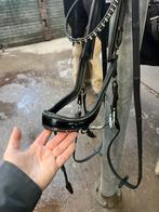 Presteq Faysport zwart hoofdstel full lak glitter, Dieren en Toebehoren, Paarden en Pony's | Hoofdstellen en Tuigage, Ophalen of Verzenden