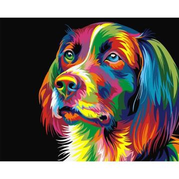 Paint by number WITH FRAME beschikbaar voor biedingen