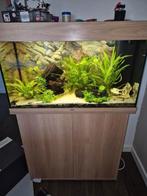 Jewel rio 125 liter met meubel, Dieren en Toebehoren, Ophalen, Zo goed als nieuw