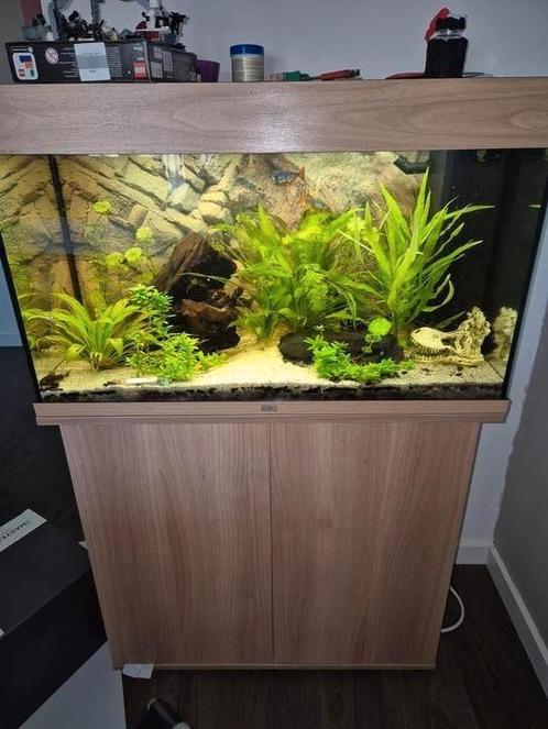 Jewel rio 125 liter met meubel, Dieren en Toebehoren, Vissen | Aquaria en Toebehoren, Zo goed als nieuw, Ophalen