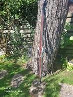 Atomic Leader CCS telemark skis alleen voor liefhebber, Sport en Fitness, Skiën en Langlaufen, Ophalen, 180 cm of meer, Zo goed als nieuw