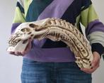 Xenomorph skull, Ophalen of Verzenden, Zo goed als nieuw, Fantasy