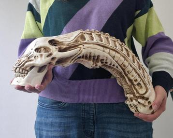 Xenomorph skull beschikbaar voor biedingen