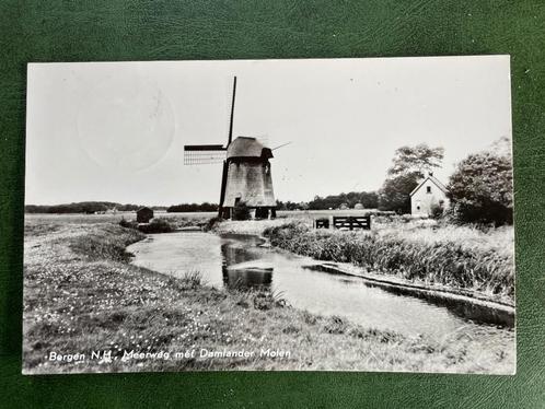 ansichtkaart van Bergen N.H. ; Meerweg met Damlander Molen, Verzamelen, Ansichtkaarten | Nederland, Noord-Holland, Verzenden