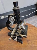 Microscoop, Audio, Tv en Foto, Optische apparatuur | Microscopen, Ophalen, Gebruikt, 400x tot 1000x, Biologische microscoop