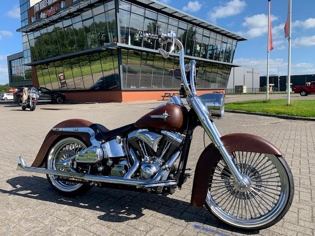 Harley-Davidson FLSTC SOFTAIL MEXICAN SPECIAL (bj 2000), Motoren, Motoren | Harley-Davidson, Bedrijf, Overig