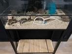 Terrarium kast zonder de terrarium