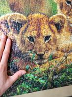 Leeuwenwelpjes puzzel 1000 stukjes - Puzzle Pleasure, Ophalen, 500 t/m 1500 stukjes, Zo goed als nieuw, Legpuzzel
