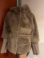 FLAM mode teddy jas met capuchon maat m zgan, Kleding | Dames, Ophalen of Verzenden, Zo goed als nieuw, Maat 38/40 (M), Beige
