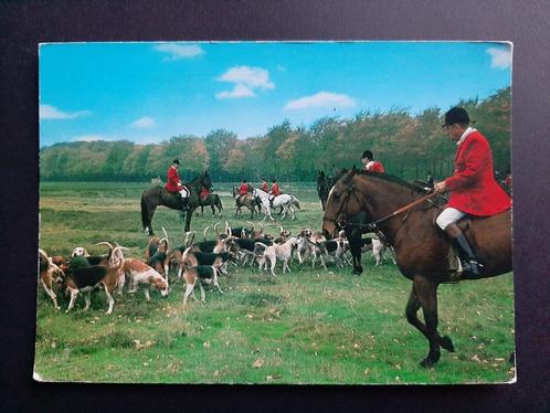 Ansicht Slipjacht op Heide / Paard Hond jager / 1979 / 26.81, Verzamelen, Ansichtkaarten | Dieren, Gelopen, 1960 tot 1980, Paard