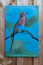 Vorkstaartscharrelaar, Ophalen of Verzenden, Minder dan 50 cm, Schilderij, Minder dan 50 cm