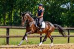 Plek vrij voor zadelmak maken of doortrainen!, Dieren en Toebehoren, Stalling en Weidegang, Stalling, 4 paarden of pony's of meer