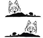 camper caravan sticker set poolhond, The River House, Info@theriverhouse.nl, Nieuw, Ophalen of Verzenden