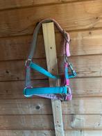 Halster maat mini/shet, Ophalen of Verzenden, Zo goed als nieuw, Overige soorten