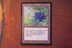 Magic The Gathering kaart Black Lotus International Edition, Ophalen of Verzenden, Gebruikt, Losse kaart