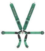 Takata Gordel 4 en 6 punts Sportstoel kuipstoel FIA, Auto diversen, Ophalen of Verzenden