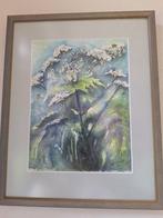 Aquarel Fluitekruid, Ophalen