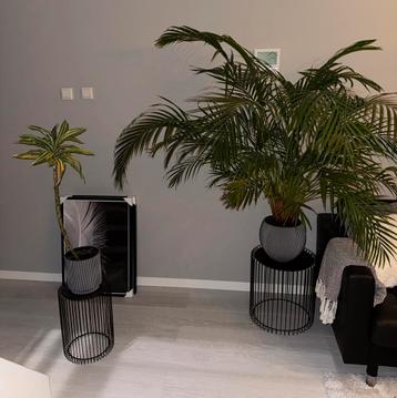 Capi Europe vaas met staander en planten beschikbaar voor biedingen