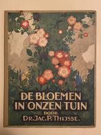 Verkade albums - De Bloemen in Onzen Tuin (1926), Boeken, Prentenboeken en Plaatjesalbums, Ophalen of Verzenden, Gelezen, Jac. P. Thijsse