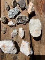 Diverse zeldzame stenen waar onder een fosiel, Ophalen of Verzenden, Mineraal