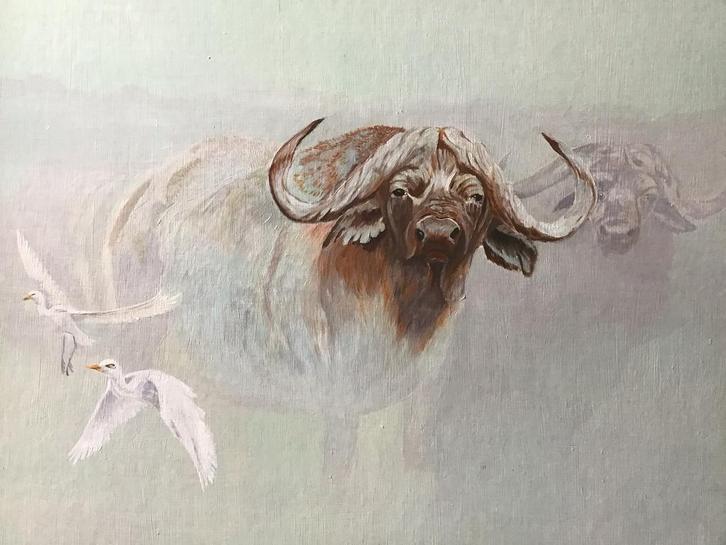 Groot schilderij 95x77 cm Buffels in mist, Antiek en Kunst, Kunst | Schilderijen | Klassiek, Ophalen